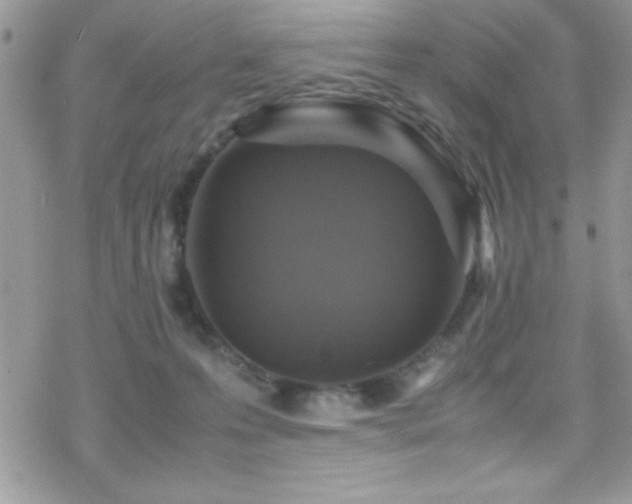 X0000070410223200606091159