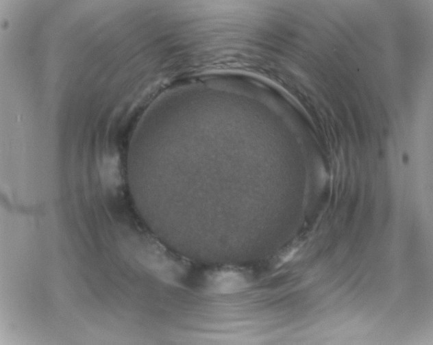 X0000070410224200606091159