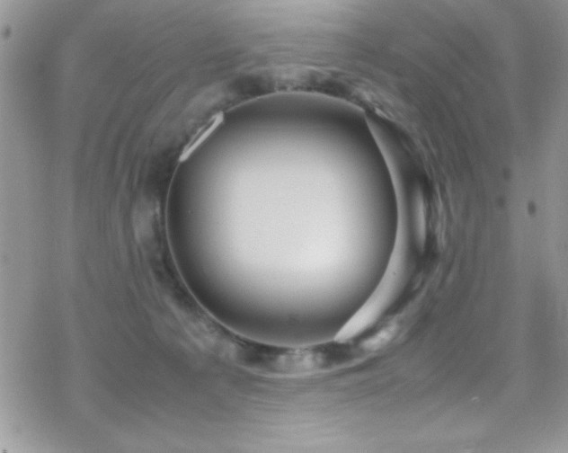 X0000070410225200606091159