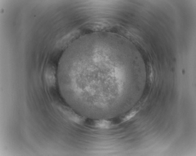 X0000070410226200606091159