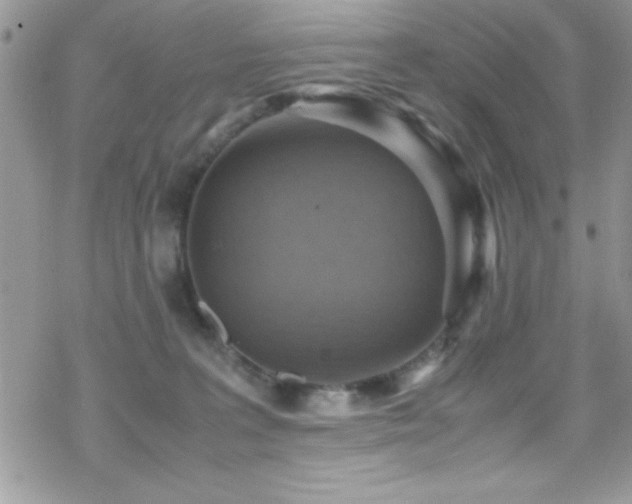 X0000070410227200606091159