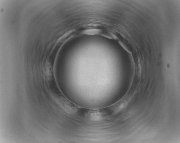 X0000070410228200606091159