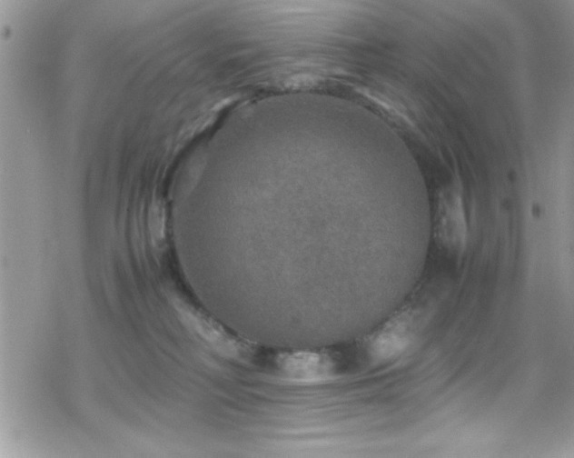 X0000070410230200606091159