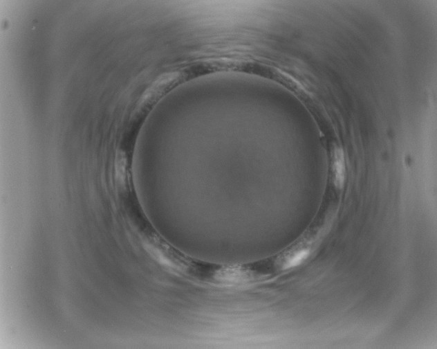 X0000070410231200606091159