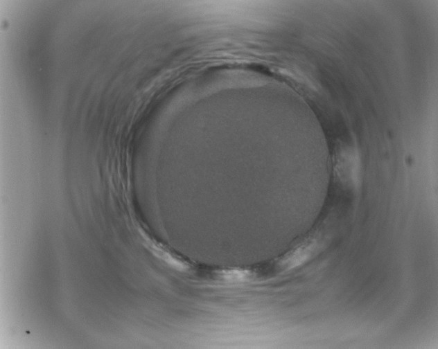 X0000070410233200606091159