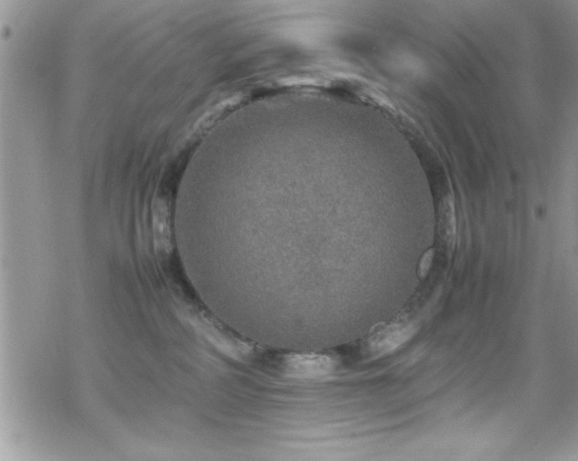 X0000070410234200606091159