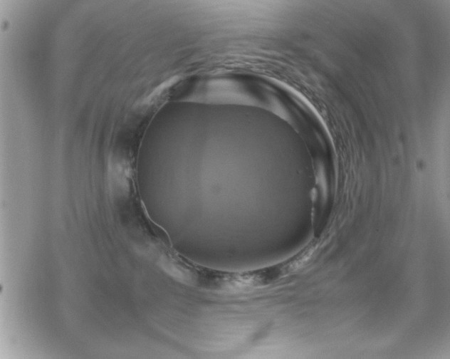 X0000070410235200606091159