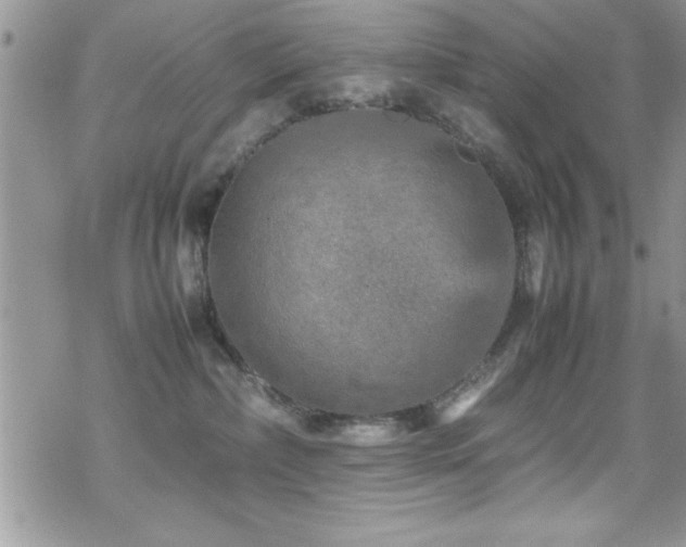 X0000070410236200606091159