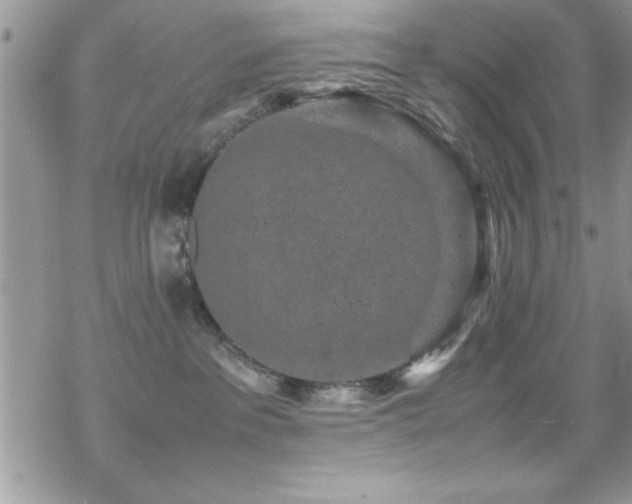 X0000070410237200606091159