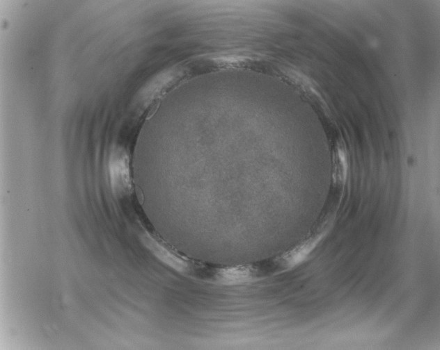 X0000070410238200606091159