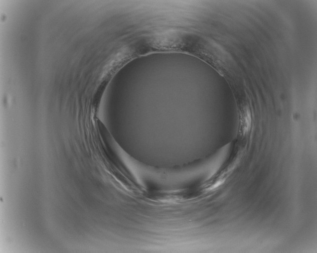 X0000070410239200606091159