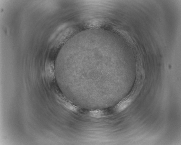 X0000070410240200606091159