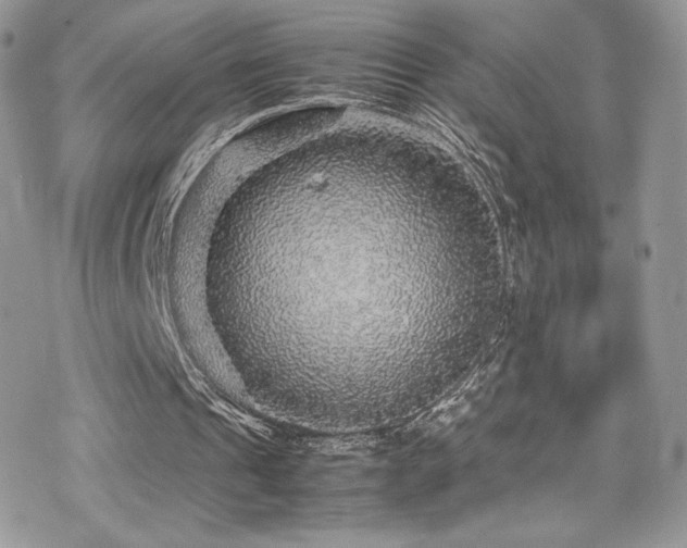 X0000070410241200606091158