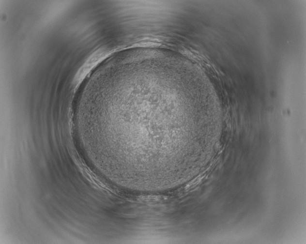 X0000070410242200606091158