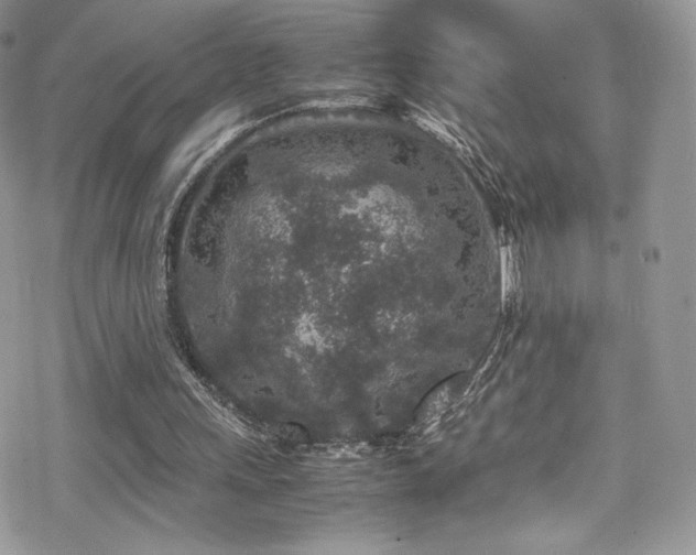 X0000070410243200606091158