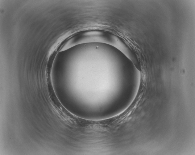 X0000070410244200606091158