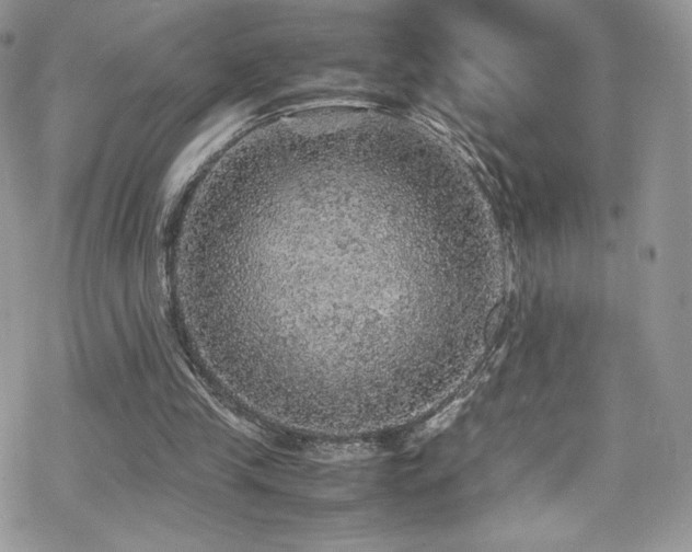 X0000070410245200606091158