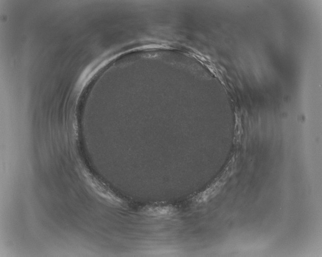 X0000070410247200606091158