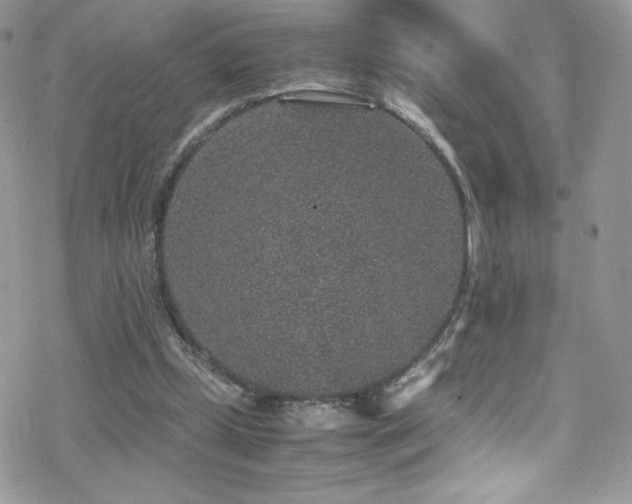 X0000070410249200606091158