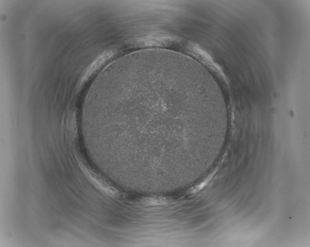 X0000070410250200606091158