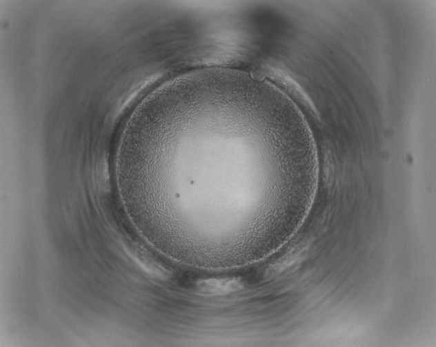 X0000070410251200606091158