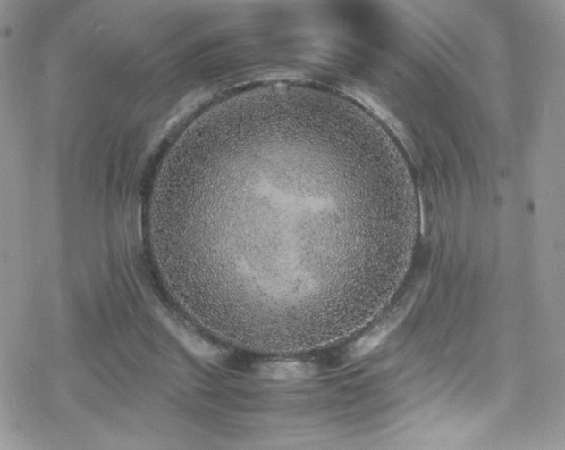 X0000070410253200606091158