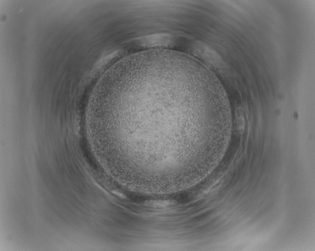 X0000070410255200606091159