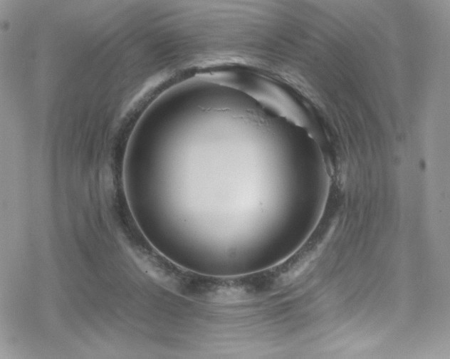 X0000070410256200606091159