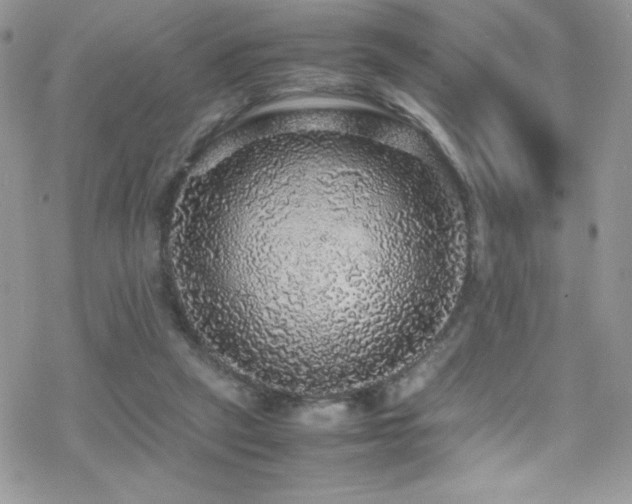 X0000070410257200606091159