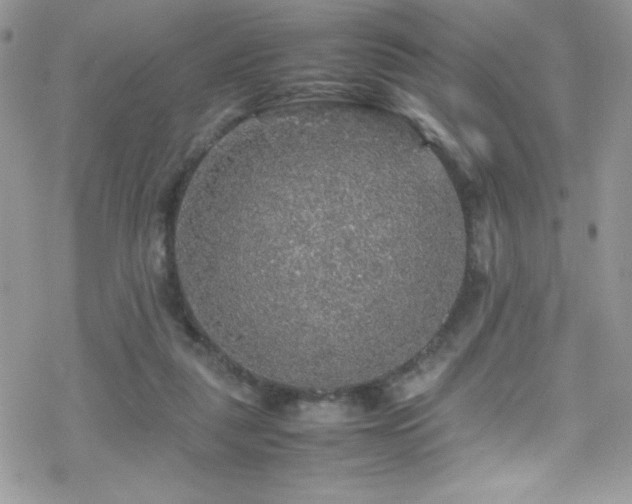 X0000070410259200606091159