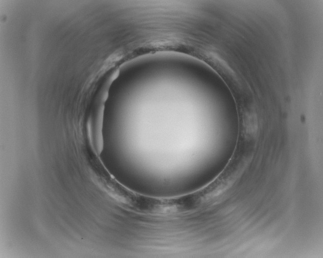 X0000070410260200606091159