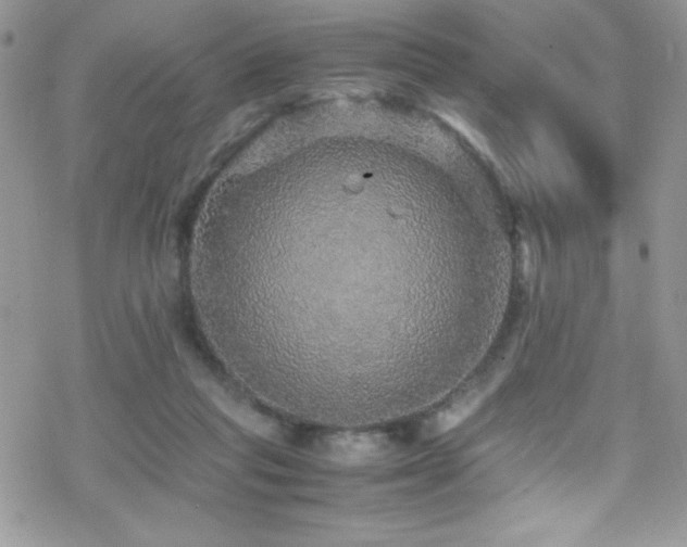 X0000070410261200606091159