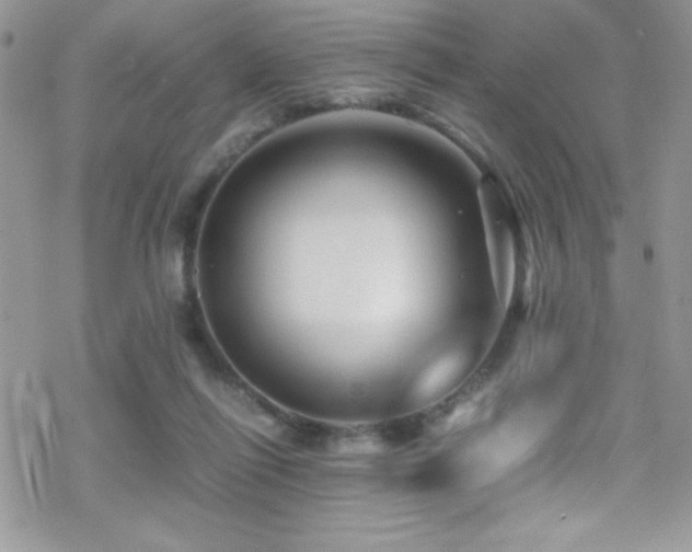 X0000070410262200606091159