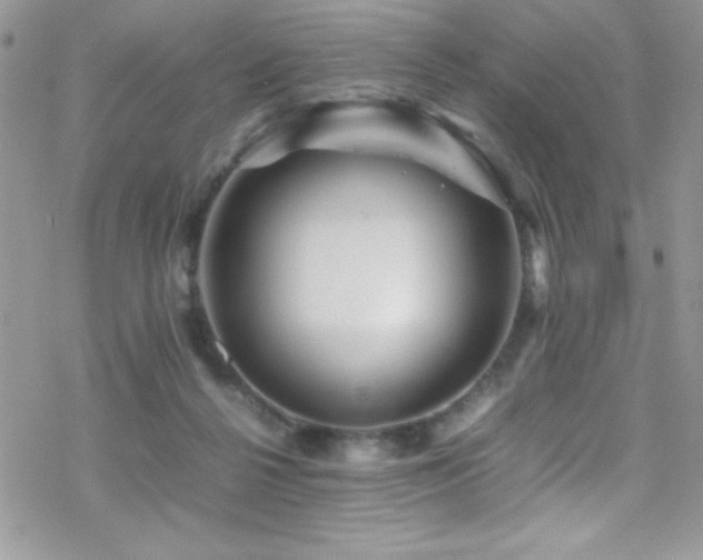 X0000070410264200606091159