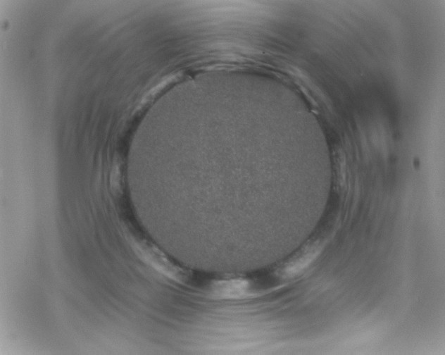 X0000070410266200606091159