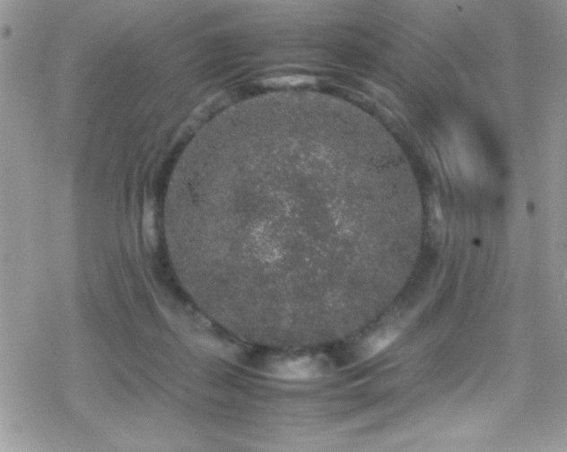 X0000070410267200606091159