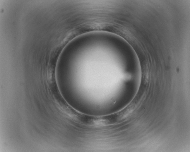 X0000070410268200606091159