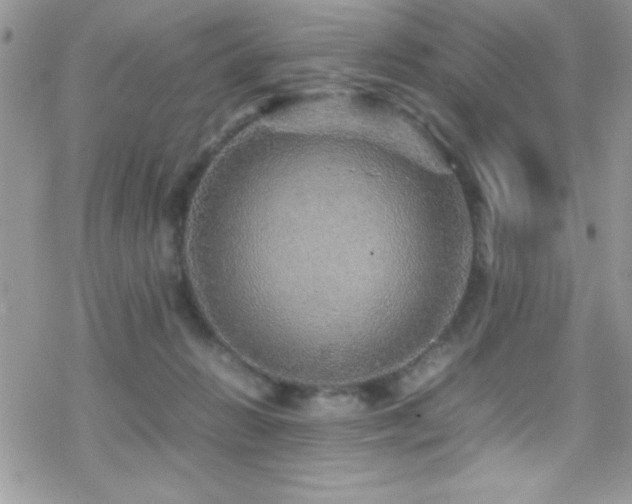 X0000070410270200606091159