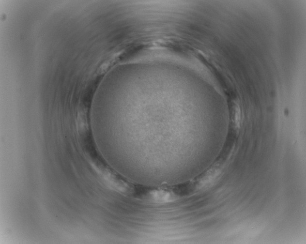 X0000070410272200606091159