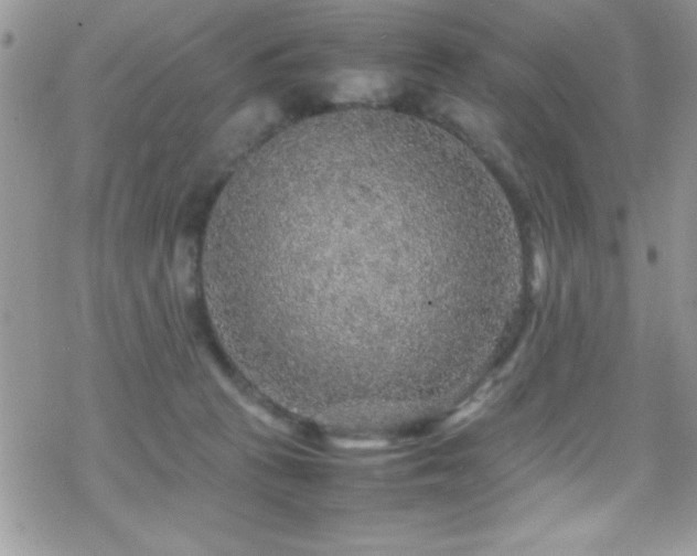 X0000070410273200606091159