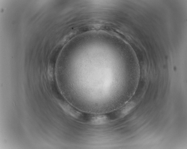 X0000070410274200606091159