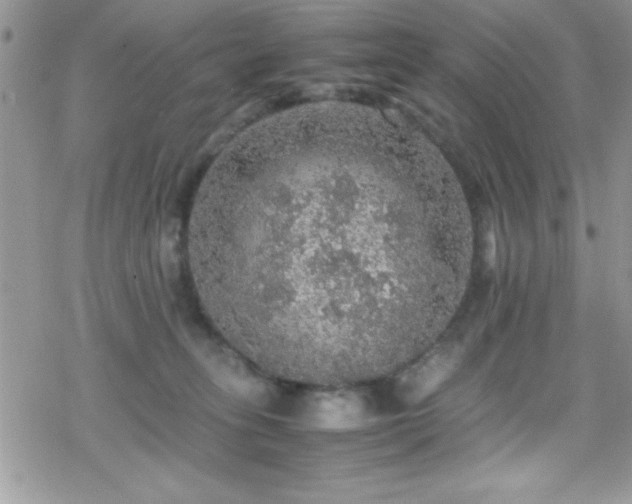 X0000070410275200606091159