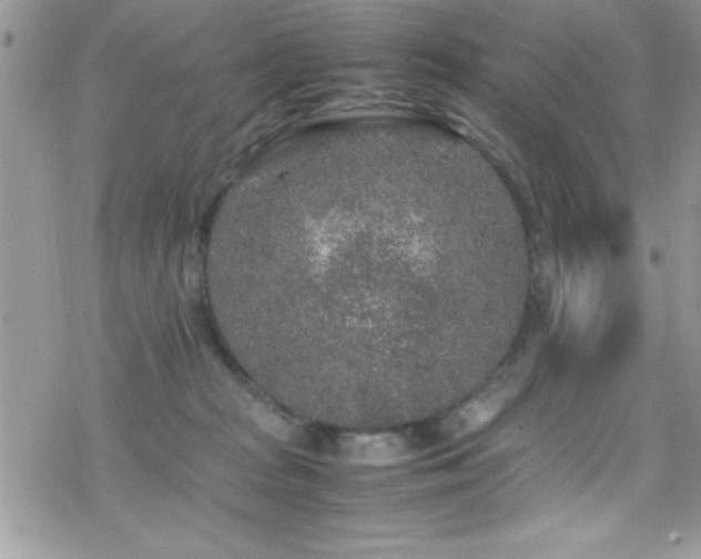 X0000070410277200606091159