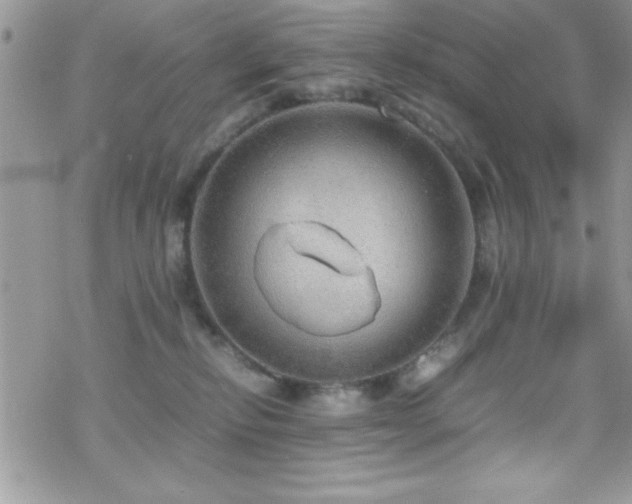 X0000070410278200606091159