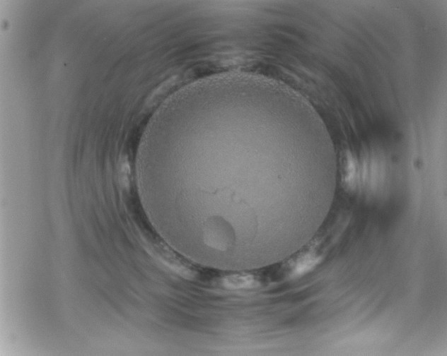 X0000070410279200606091159