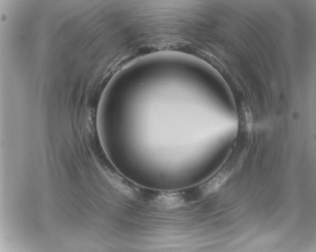 X0000070410280200606091159