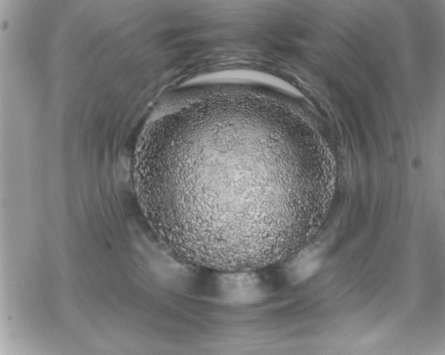 X0000070410281200606091159