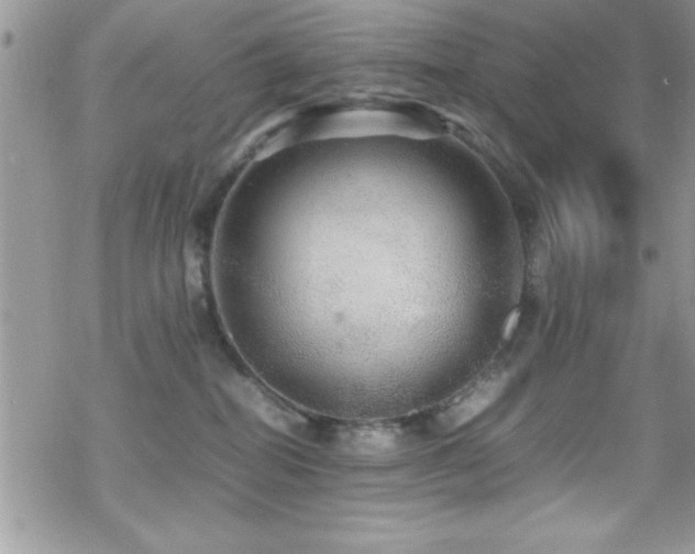 X0000070410282200606091159