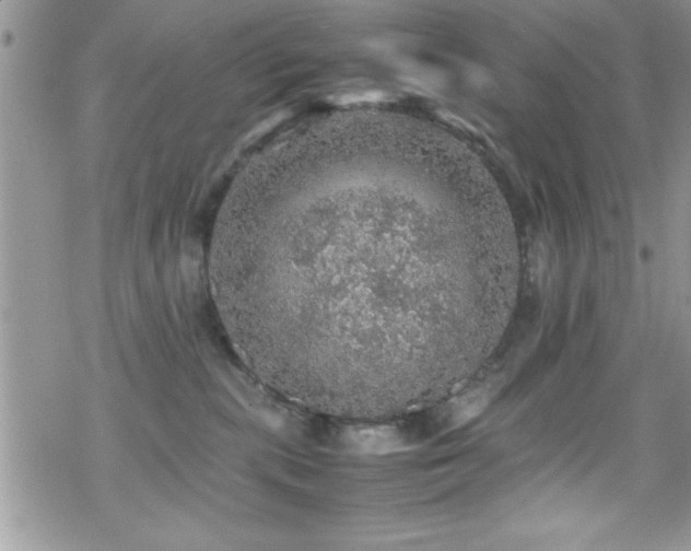 X0000070410283200606091159