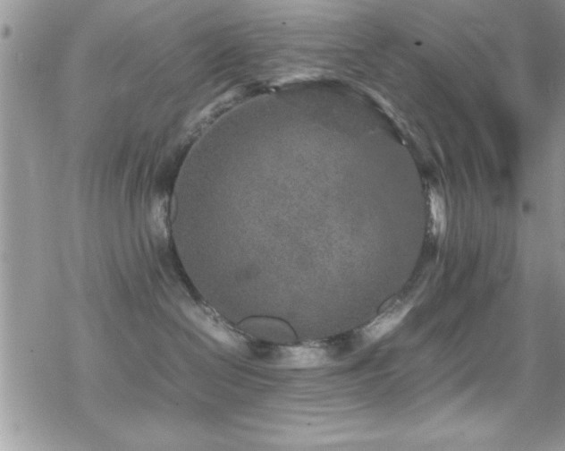 X0000070410286200606091159